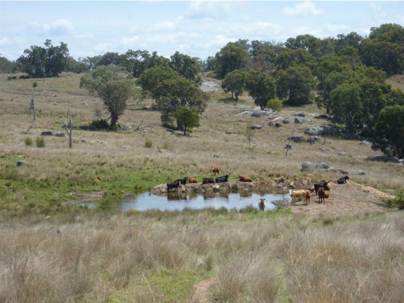 ” TELARAH”, Inverell NSW 2360