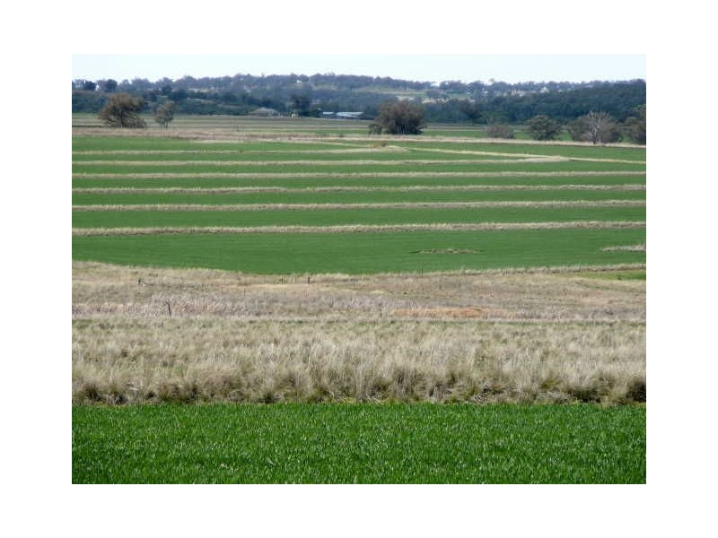 ” WYANDRA”, Inverell NSW 2360