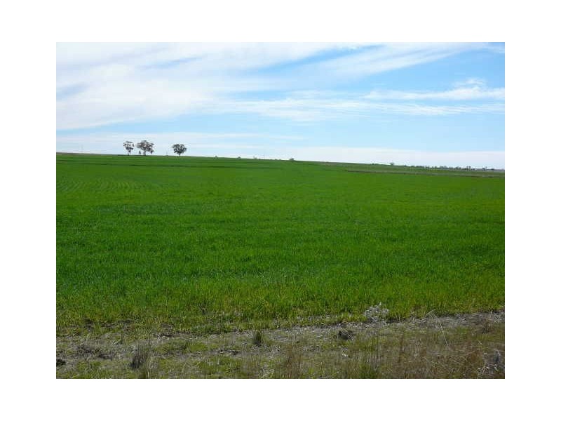 ” WYANDRA”, Inverell NSW 2360