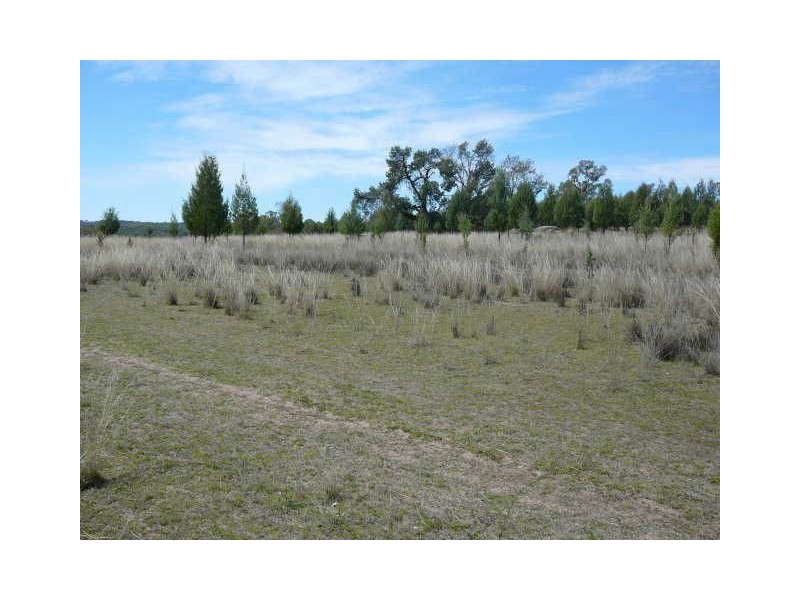 ” WYANDRA”, Inverell NSW 2360