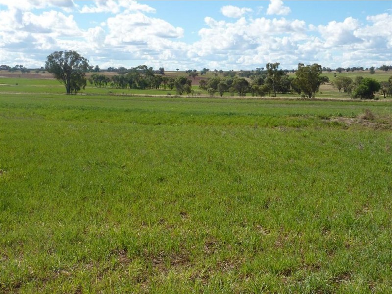 ” WEST END”, Inverell NSW 2360