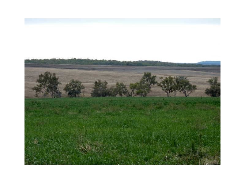 156 Bedwell Downs Road “COLOMIE”, Yetman NSW 2410