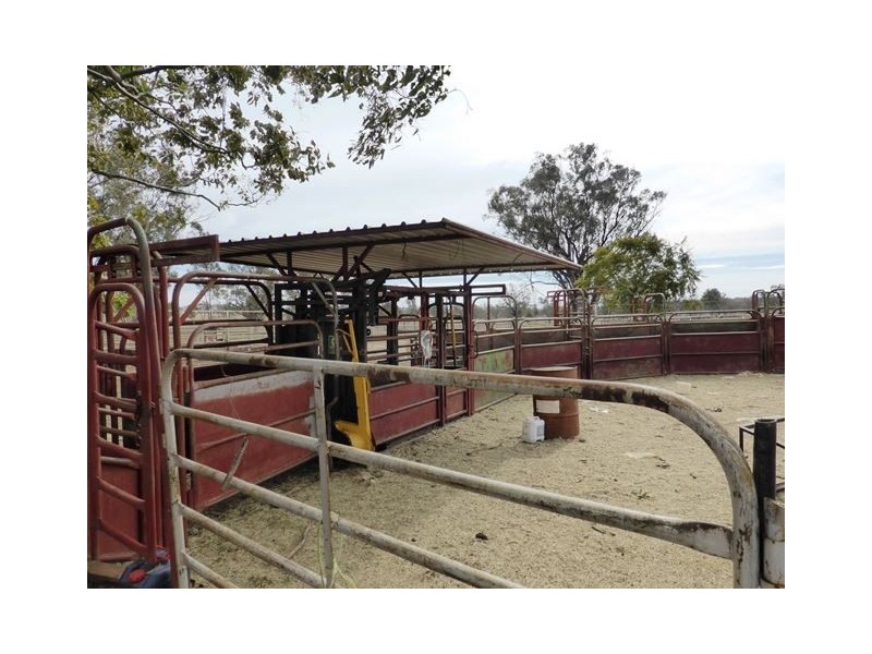 156 Bedwell Downs Road “COLOMIE”, Yetman NSW 2410