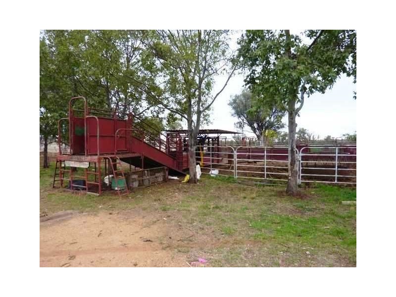 156 Bedwell Downs Road “COLOMIE”, Yetman NSW 2410