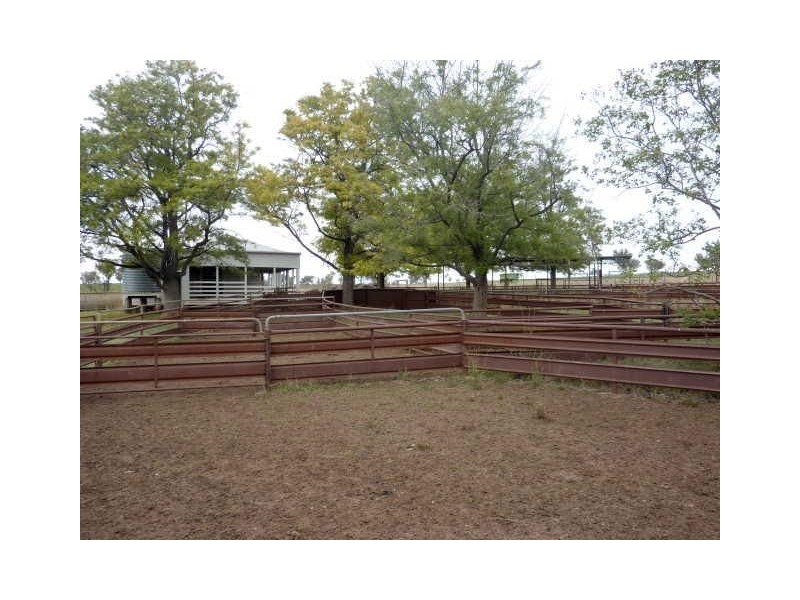 156 Bedwell Downs Road “COLOMIE”, Yetman NSW 2410