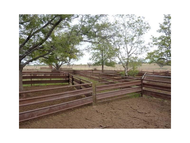 156 Bedwell Downs Road “COLOMIE”, Yetman NSW 2410