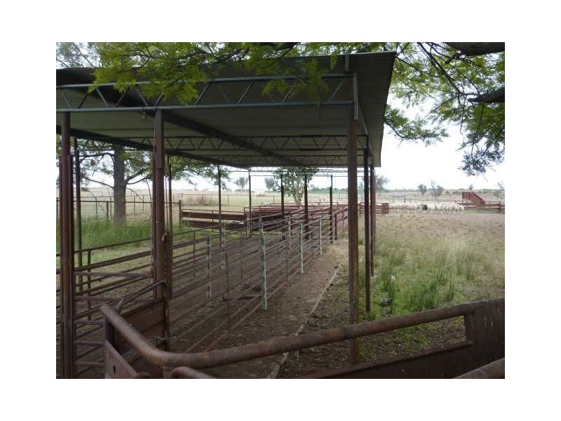 156 Bedwell Downs Road “COLOMIE”, Yetman NSW 2410