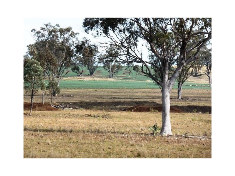 156 Bedwell Downs Road “COLOMIE”, Yetman NSW 2410