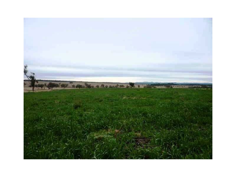 156 Bedwell Downs Road “COLOMIE”, Yetman NSW 2410