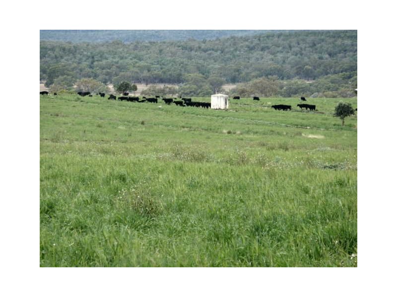 156 Bedwell Downs Road “COLOMIE”, Yetman NSW 2410