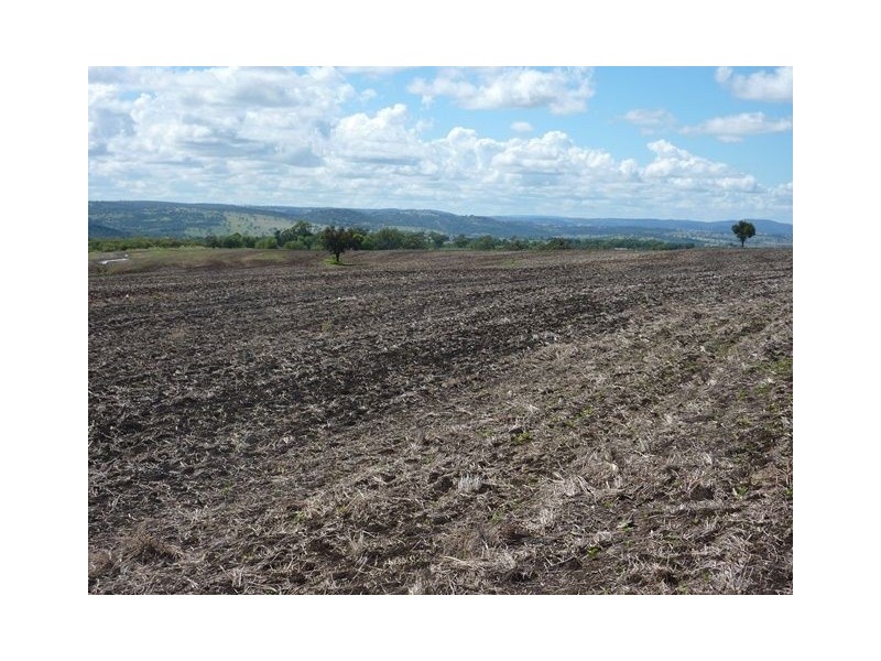 1914 Reserve Creek Road “COLYTON”, Delungra NSW 2403