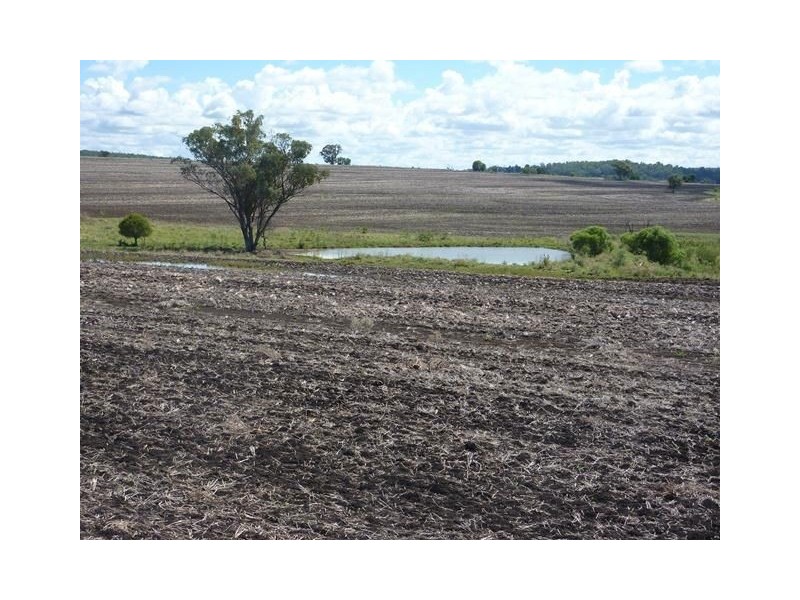 1914 Reserve Creek Road “COLYTON”, Delungra NSW 2403