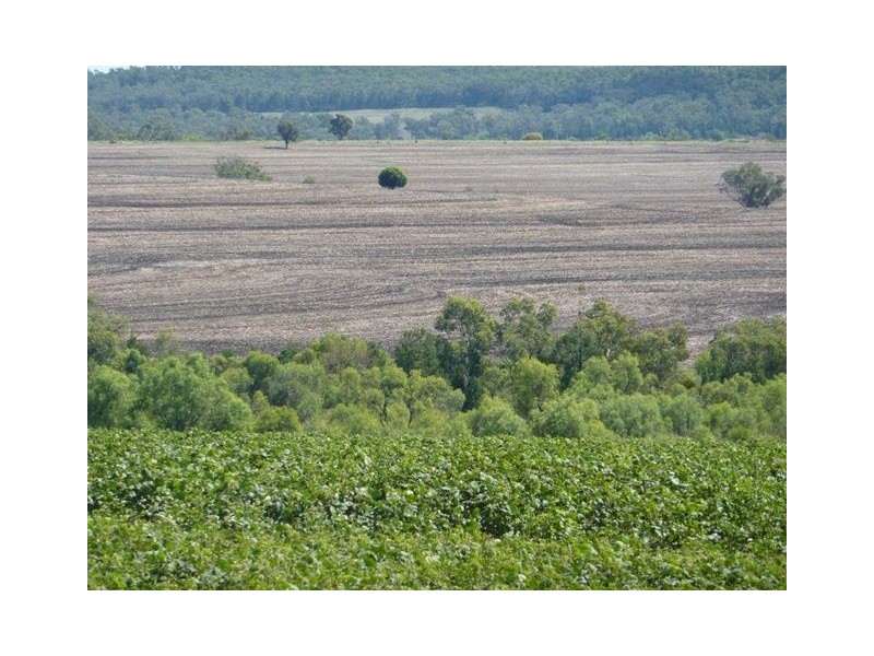 1914 Reserve Creek Road “COLYTON”, Delungra NSW 2403