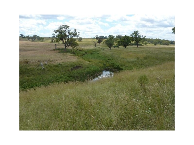 ” SUNNY  DOWNS”, Inverell NSW 2360