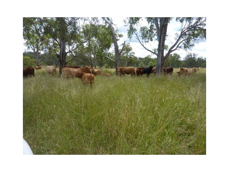 ” SUNNY  DOWNS”, Inverell NSW 2360