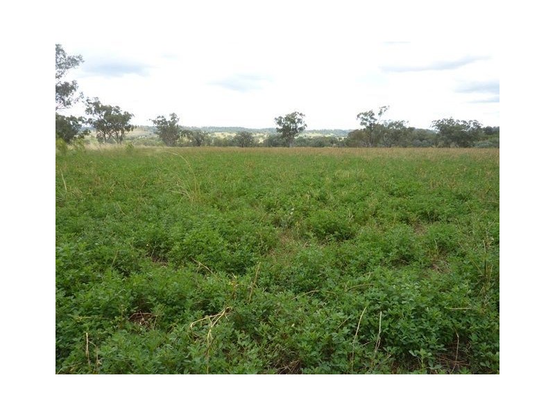 ” SUNNY  DOWNS”, Inverell NSW 2360