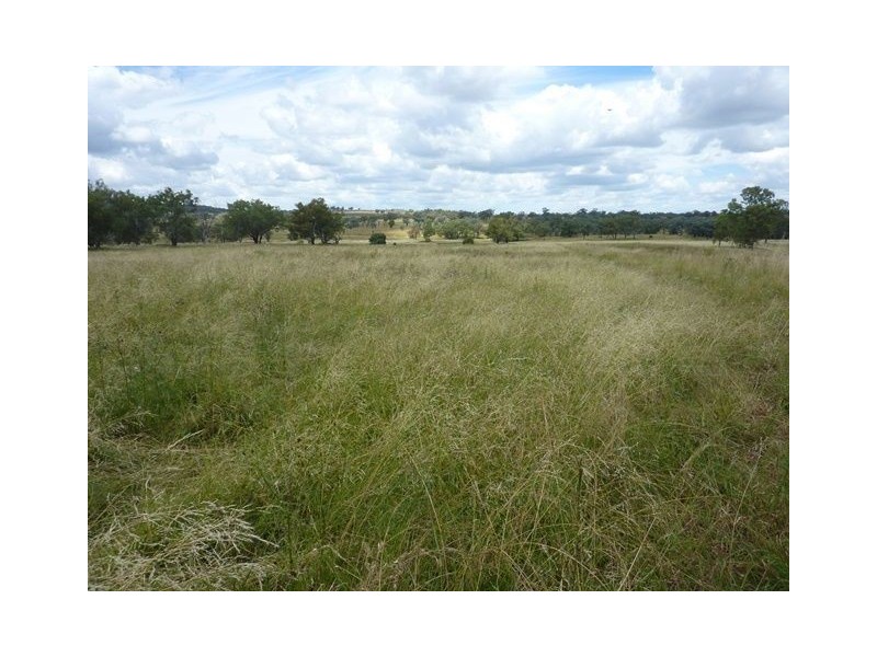 ” SUNNY  DOWNS”, Inverell NSW 2360