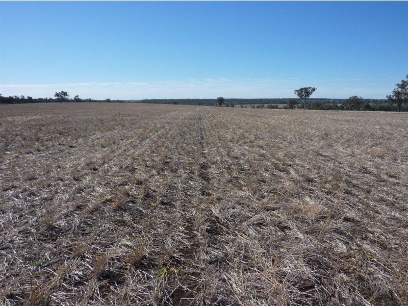 ” GOORA”, Inverell NSW 2360