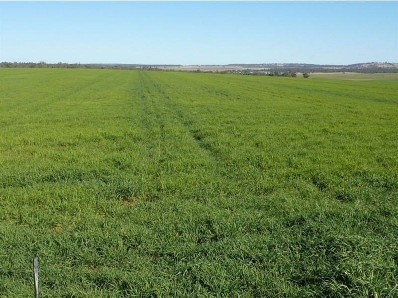 ” GOORA”, Inverell NSW 2360