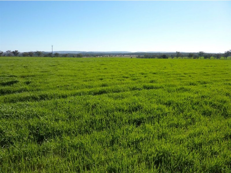 ” GOORA”, Inverell NSW 2360