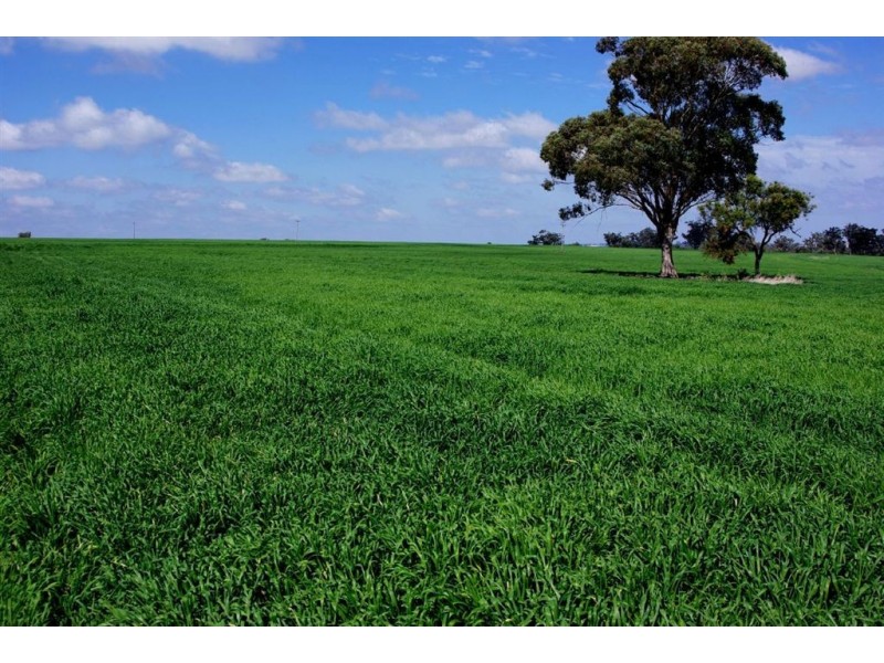 ” GOORA”, Inverell NSW 2360