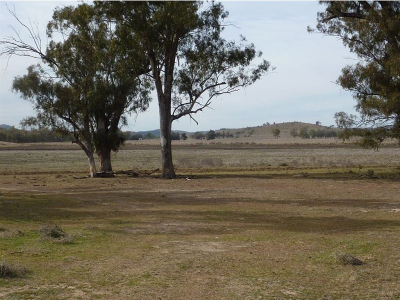 ” TRIGAMON”, Yetman NSW 2410