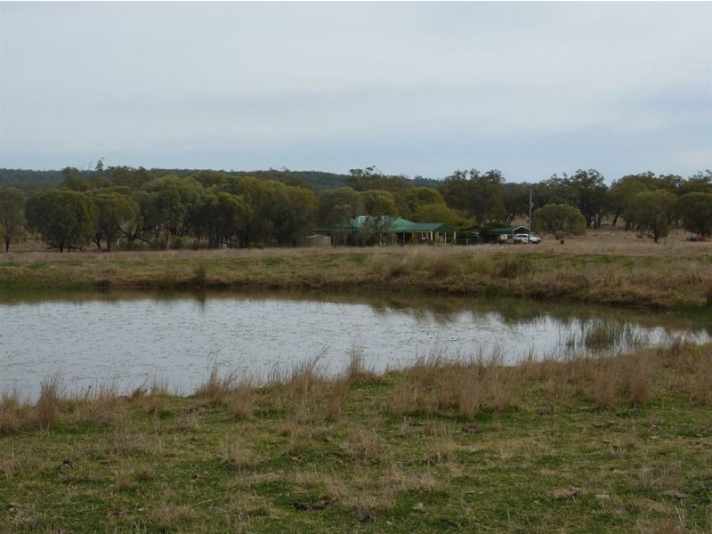 ” TRIGAMON”, Yetman NSW 2410