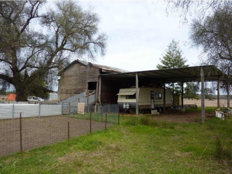 ” TRIGAMON”, Yetman NSW 2410