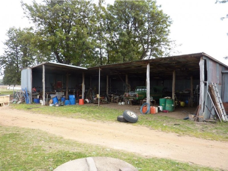 ” TRIGAMON”, Yetman NSW 2410