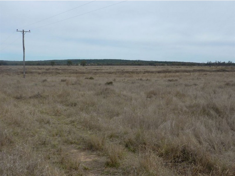 ” TRIGAMON”, Yetman NSW 2410