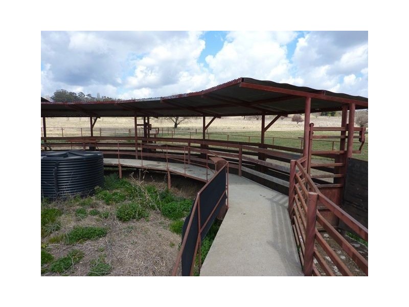 ” WOOMBI”, Guyra NSW 2365