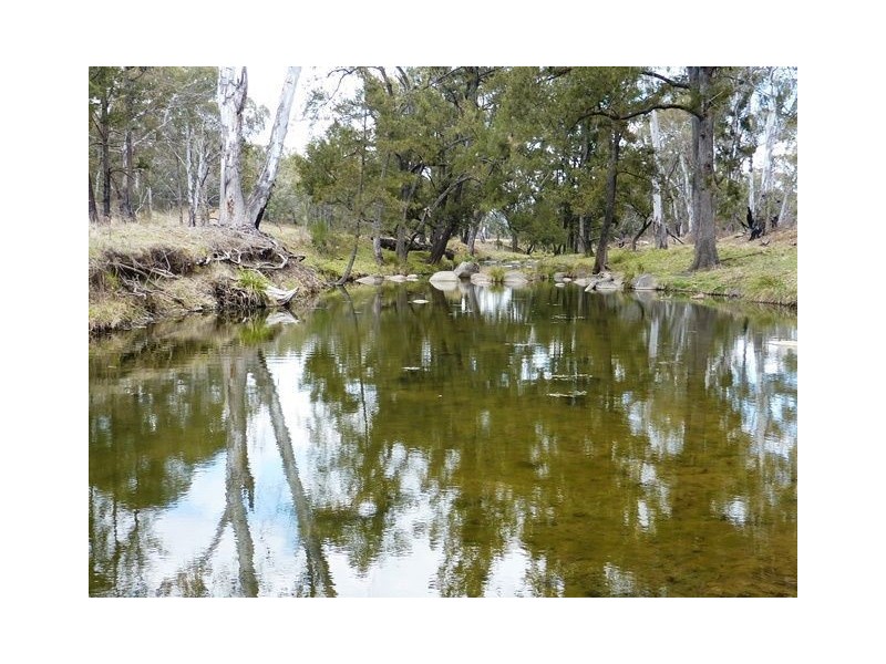 ” WOOMBI”, Guyra NSW 2365