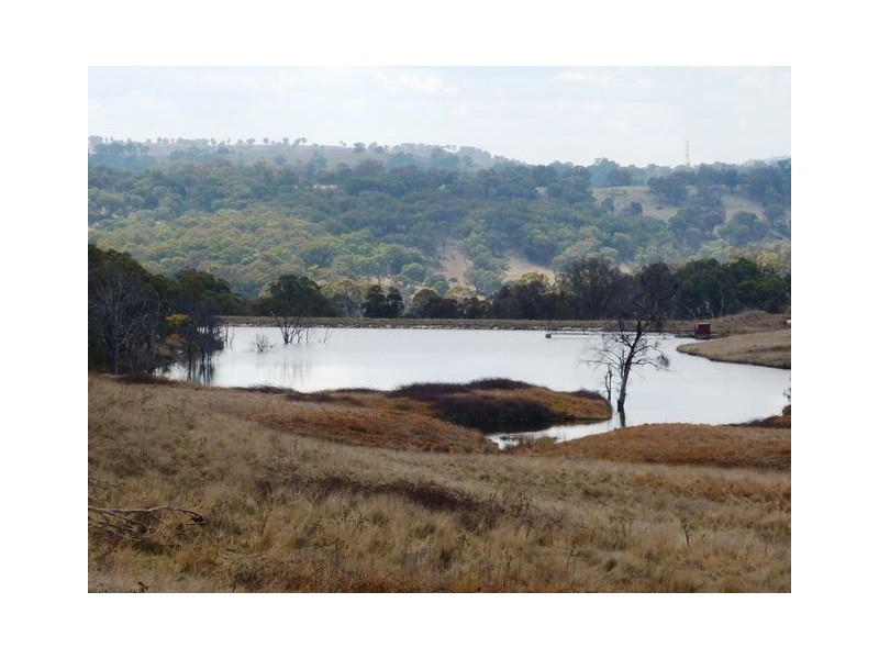 ” WOOMBI”, Guyra NSW 2365