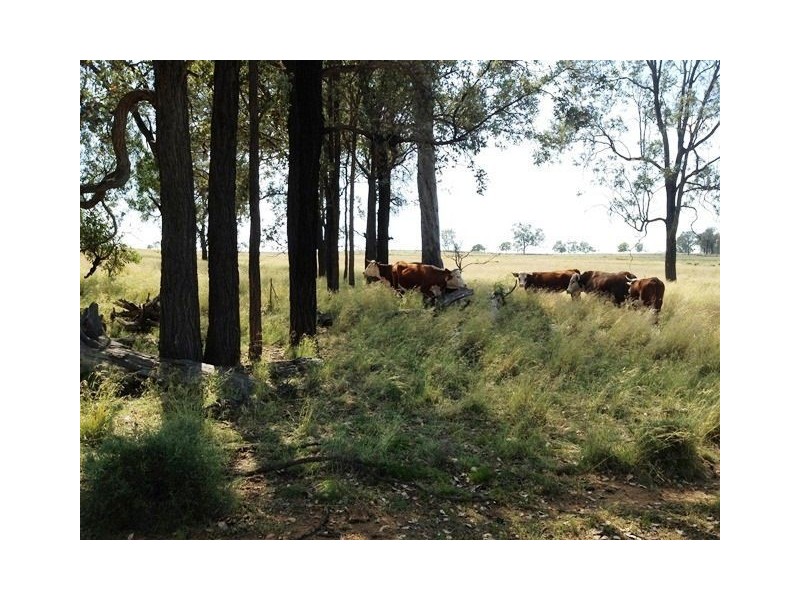 574 Coolatai Road “WYBALENA”, Inverell NSW 2360