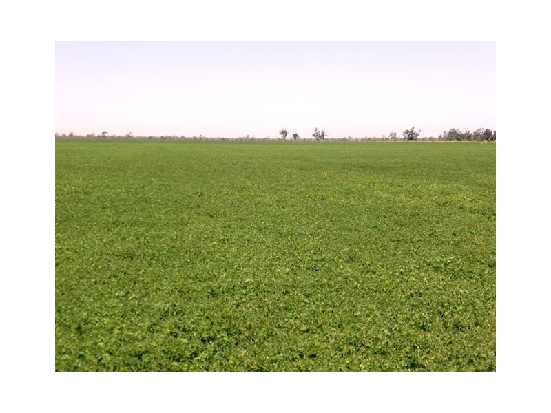 574 Coolatai Road “WYBALENA”, Inverell NSW 2360