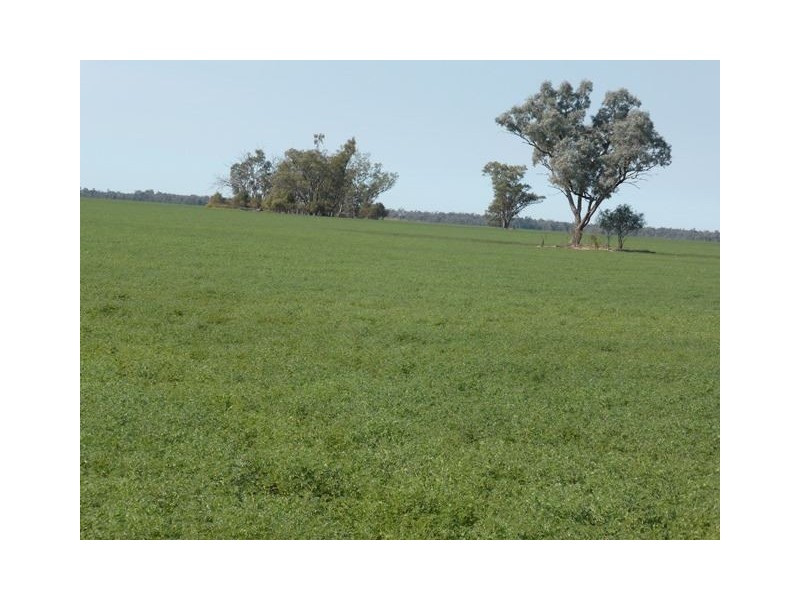 574 Coolatai Road “WYBALENA”, Inverell NSW 2360