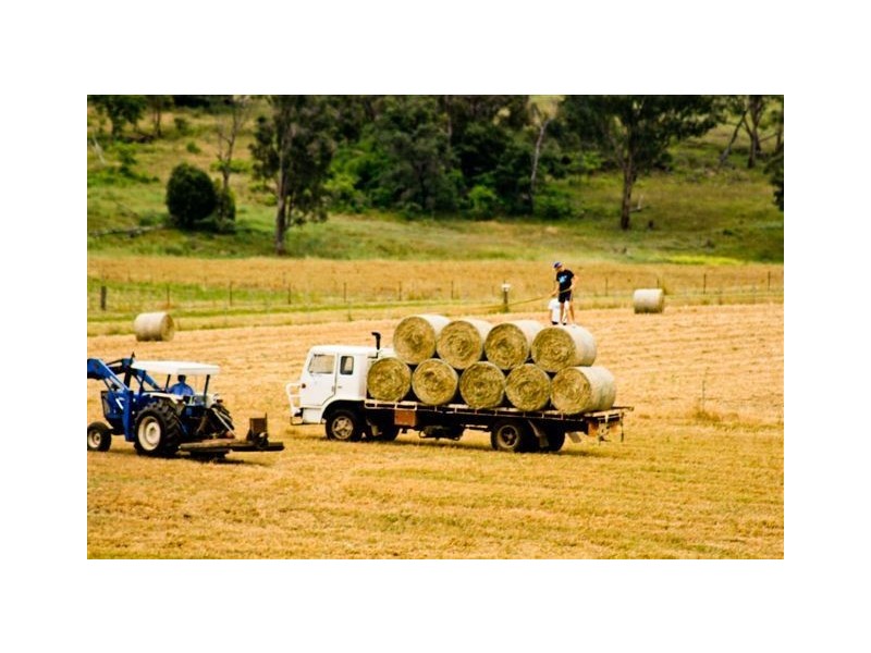 ” WYNELLA”, Inverell NSW 2360