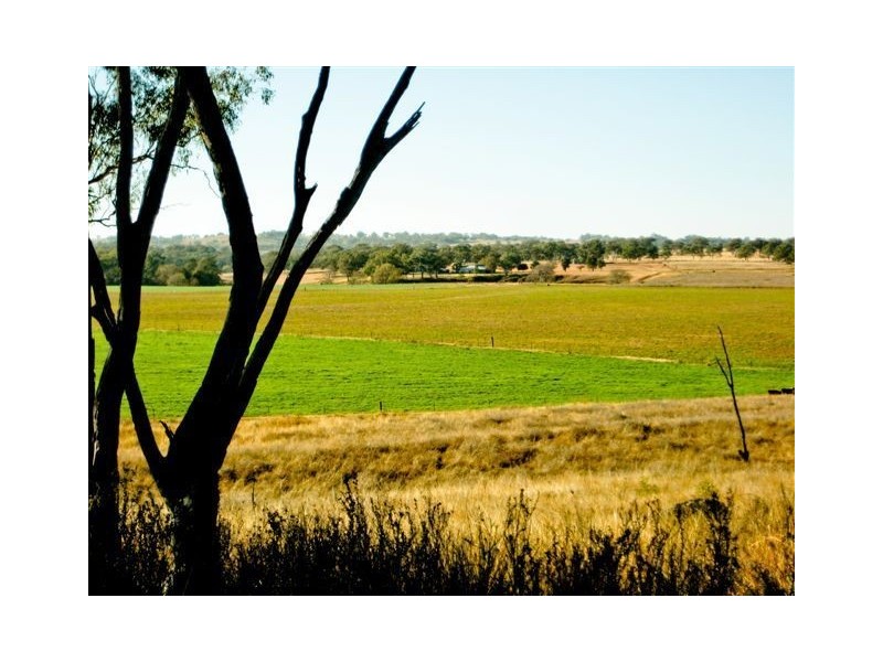 ” WYNELLA”, Inverell NSW 2360