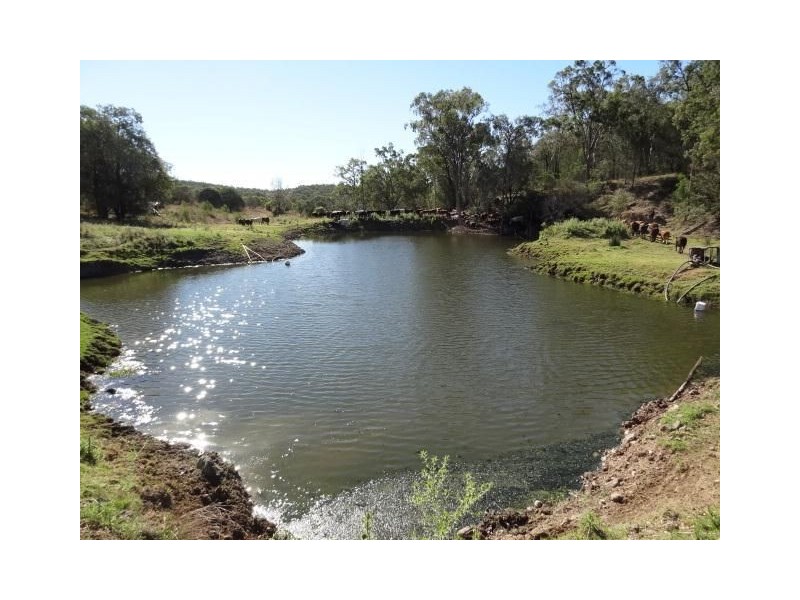 ” GUNNA GUMPY”, Bingara NSW 2404