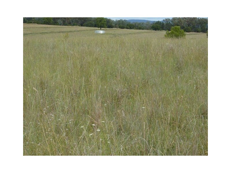 ” GUNNA GUMPY”, Bingara NSW 2404