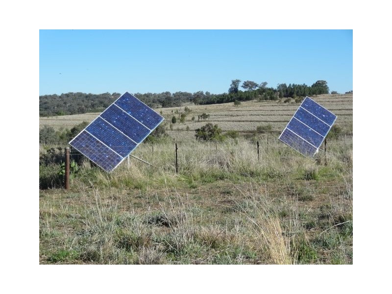 ” GUNNA GUMPY”, Bingara NSW 2404