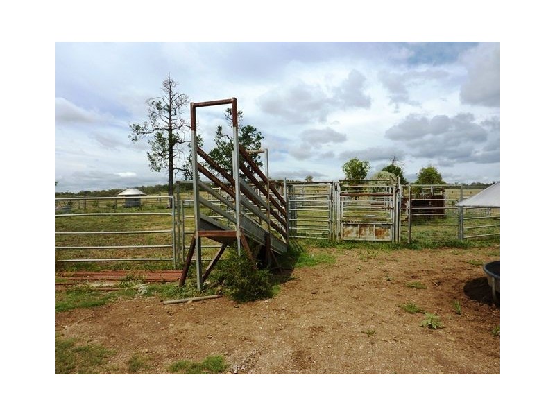 ” GUNNA GUMPY”, Bingara NSW 2404