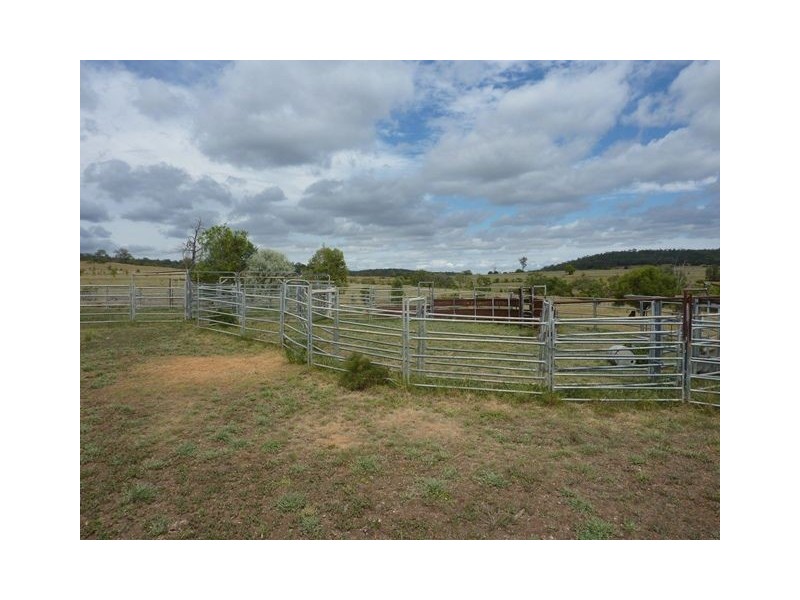 ” GUNNA GUMPY”, Bingara NSW 2404