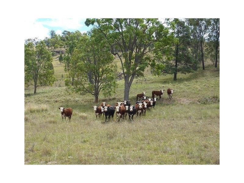 548 Onus Road “TORVALE”, Inverell NSW 2360