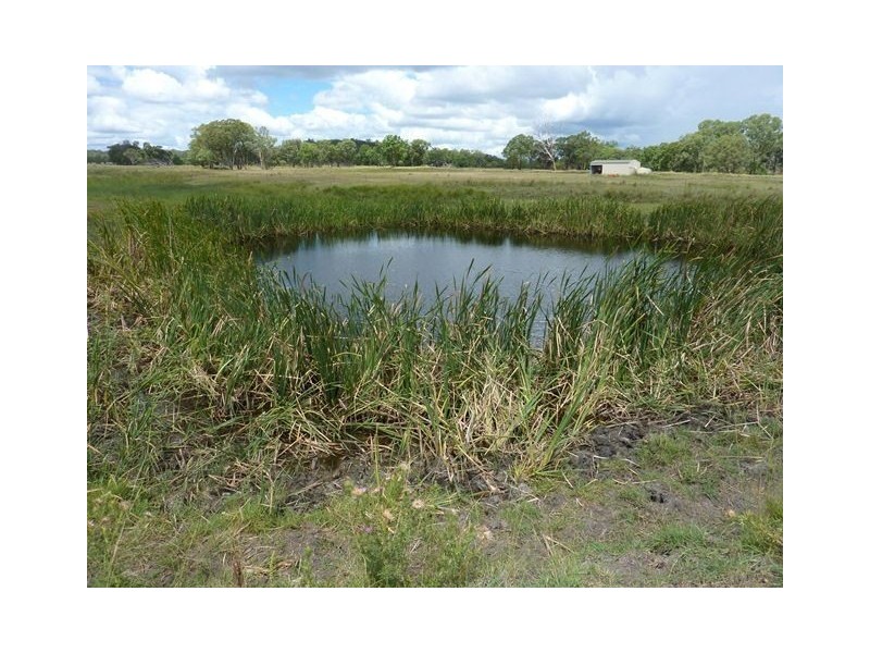 548 Onus Road “TORVALE”, Inverell NSW 2360