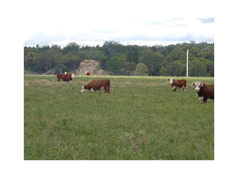 548 Onus Road “TORVALE”, Inverell NSW 2360