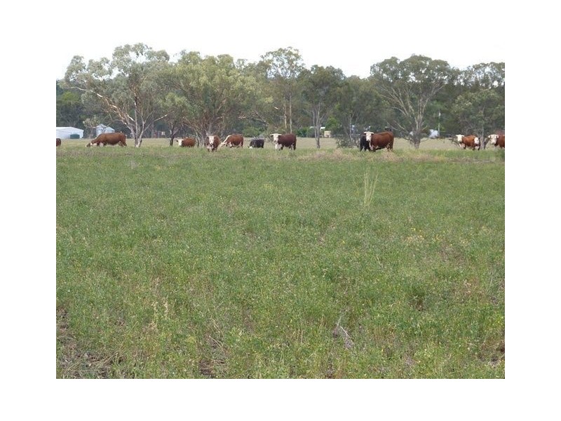 548 Onus Road “TORVALE”, Inverell NSW 2360