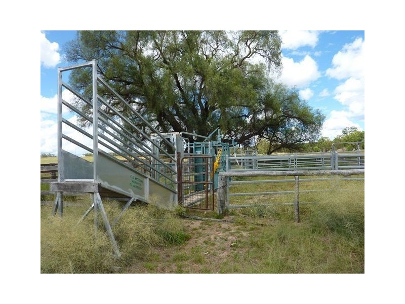 548 Onus Road “TORVALE”, Inverell NSW 2360
