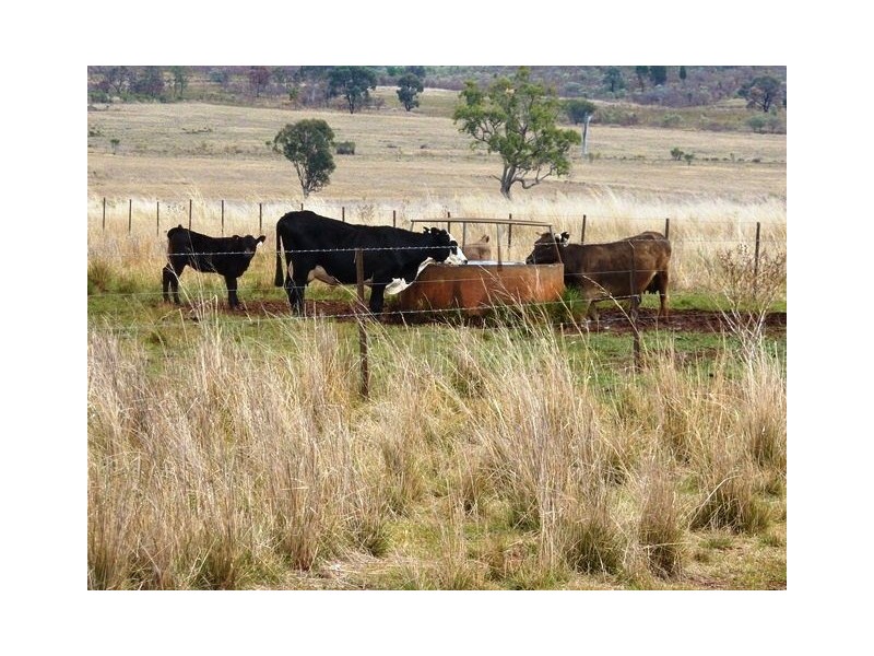 ” TARRANGOWER”, Inverell NSW 2360