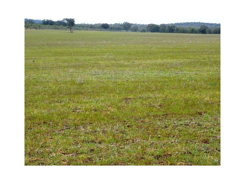 ” TARRANGOWER”, Inverell NSW 2360